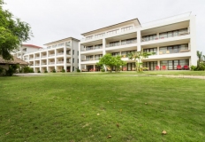 Surounding_07_800x533